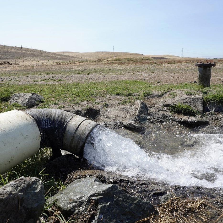California farmers are hopeful Trump administration will deliver more water to fields
